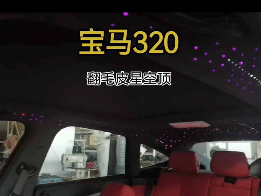 宝马320草莓污视频网站翻毛皮星空顶