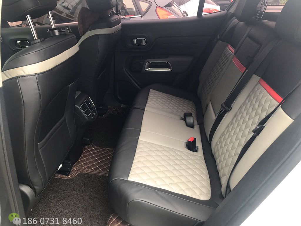 雪铁龙C5天逸草莓APP色板下载