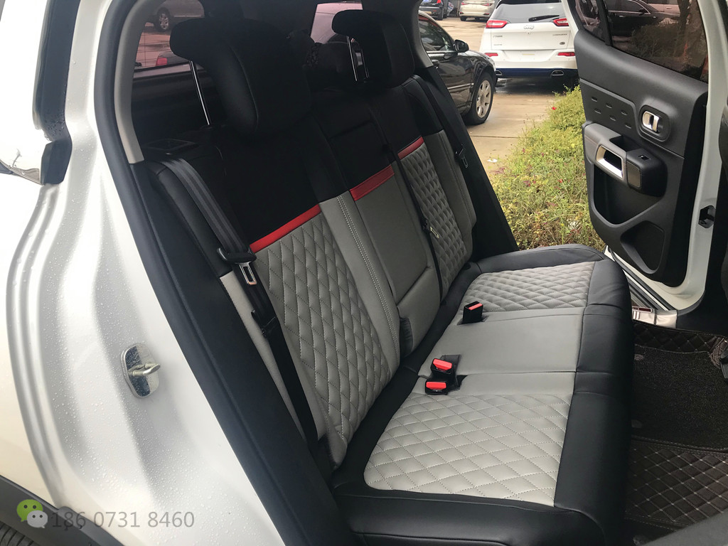 雪铁龙C5天逸草莓APP色板下载