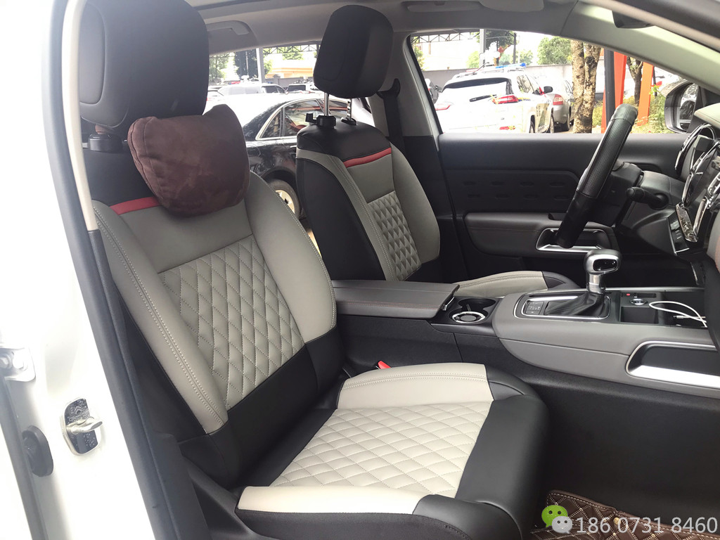 雪铁龙C5天逸草莓APP色板下载