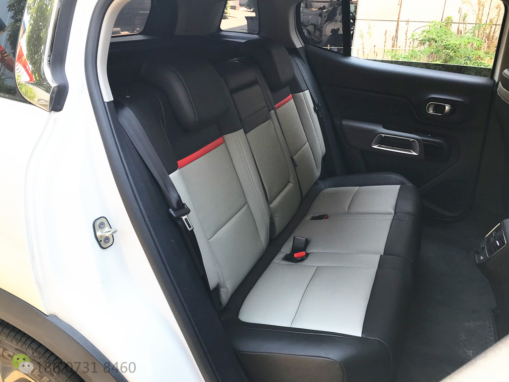 雪铁龙C5天逸草莓APP色板下载